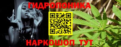 герыч Кингисепп