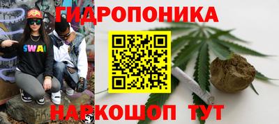 герыч Кингисепп